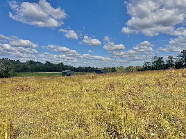 2250 Elkton Pike, Pulaski, TN 38478