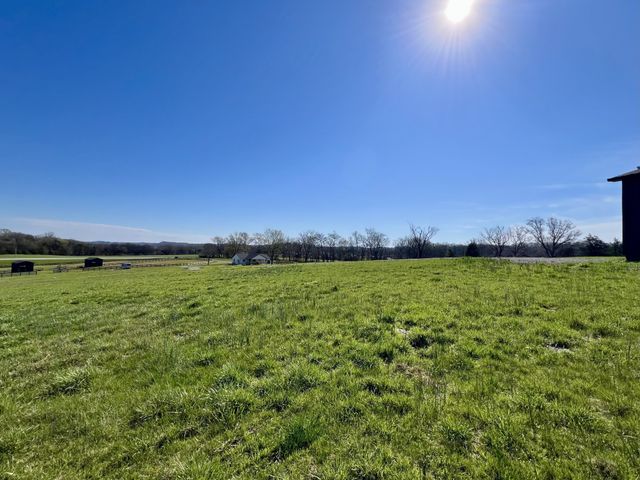 2250 Elkton Pike, Pulaski, TN 38478