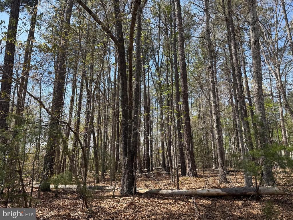 WINDWOOD COVES BLVD, Mineral, VA 23117