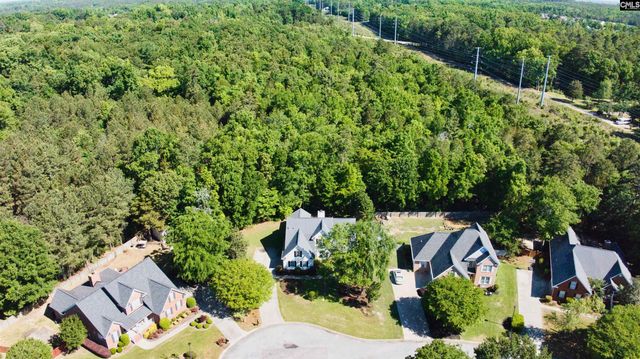 14 Sagefire Court, Irmo, SC 29063