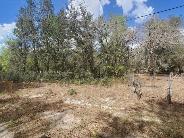 TBD NE 172ND PLACE, Fort Mc Coy, FL 32134