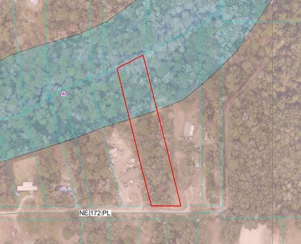 TBD NE 172ND PLACE, Fort Mc Coy, FL 32134