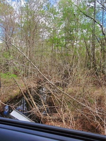 TBD NE 172ND PLACE, Fort Mc Coy, FL 32134