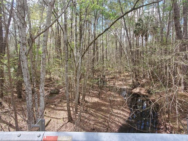 TBD NE 172ND PLACE, Fort Mc Coy, FL 32134