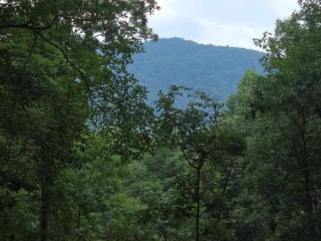150 Trail Tree Drive, Blairsville, GA 30512