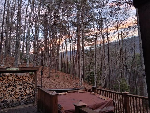 150 Trail Tree Drive, Blairsville, GA 30512
