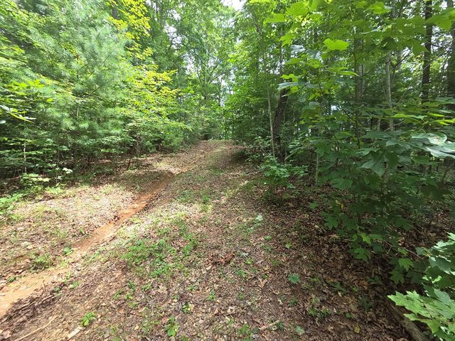 150 Trail Tree Drive, Blairsville, GA 30512