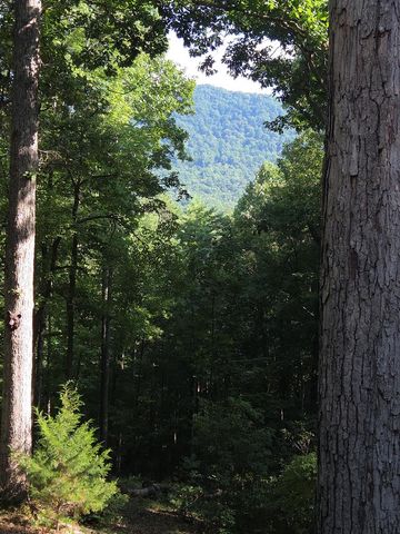 150 Trail Tree Drive, Blairsville, GA 30512