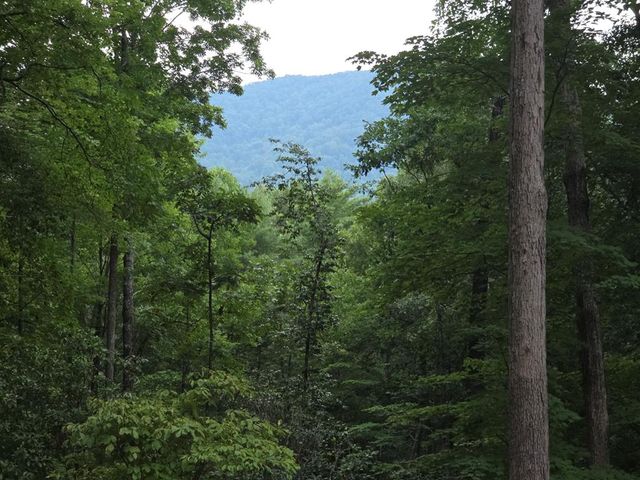 150 Trail Tree Drive, Blairsville, GA 30512