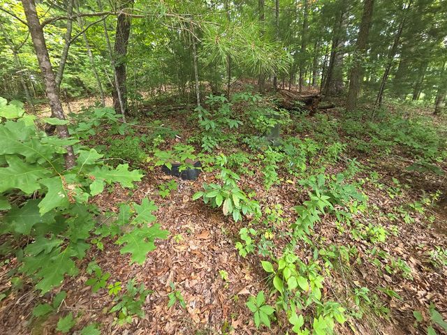 150 Trail Tree Drive, Blairsville, GA 30512
