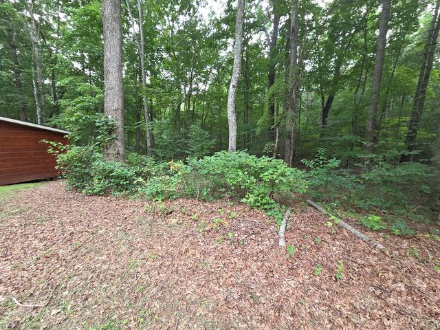 150 Trail Tree Drive, Blairsville, GA 30512