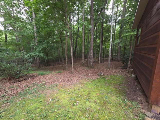 150 Trail Tree Drive, Blairsville, GA 30512