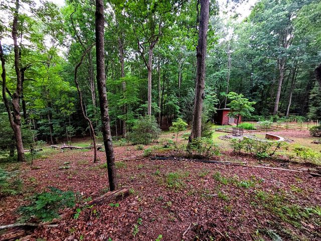 150 Trail Tree Drive, Blairsville, GA 30512