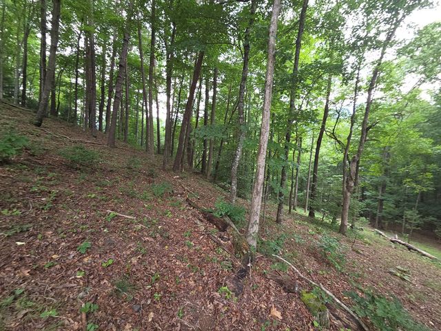 150 Trail Tree Drive, Blairsville, GA 30512