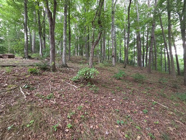 150 Trail Tree Drive, Blairsville, GA 30512