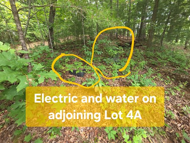 150 Trail Tree Drive, Blairsville, GA 30512