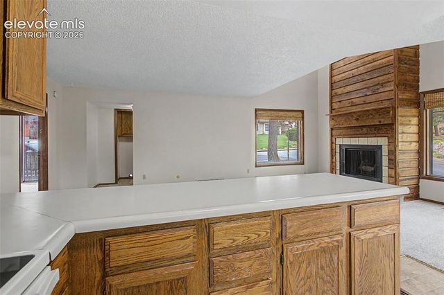 869 Pebblewood Drive, Colorado Springs, CO 80919