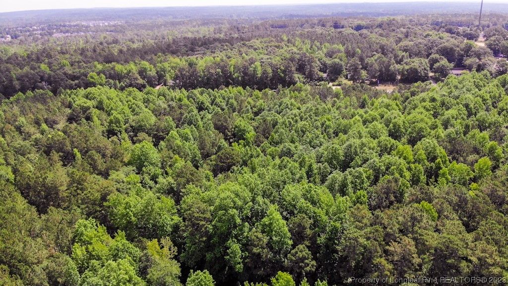 NC 24-87, Cameron, NC 28326 — photo 20