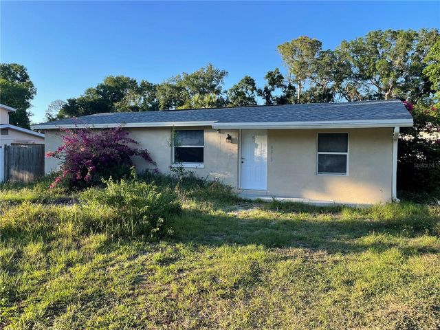 10013 OSLIN STREET, Tampa, FL 33615