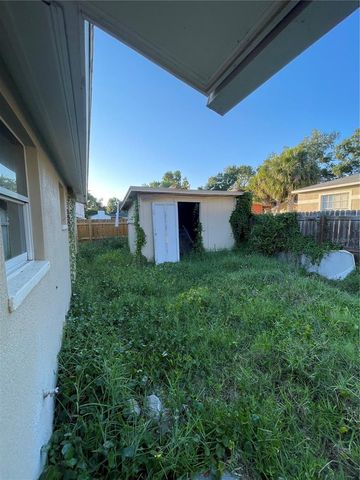 10013 OSLIN STREET, Tampa, FL 33615