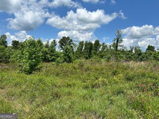 LOT 8 Highway 19, Dublin, GA 31021