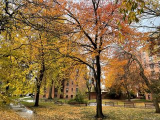 150-29 72 Road 6, Flushing, NY 11367