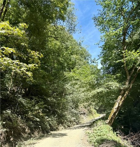 1792 Steve Russell Hill Road, Freetown, NY 13040