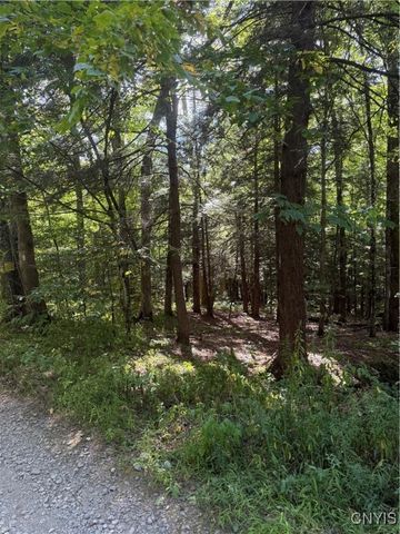 1792 Steve Russell Hill Road, Freetown, NY 13040