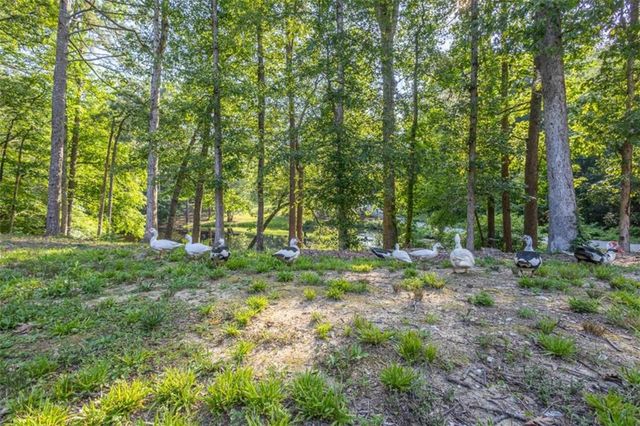 45 Lee Drive, Carrollton, GA 30116
