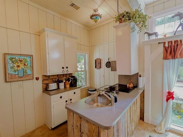 805 Old Mill Court, Ball Ground, GA 30107