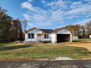 156 Sherwood Blvd, Fyffe, AL 35971