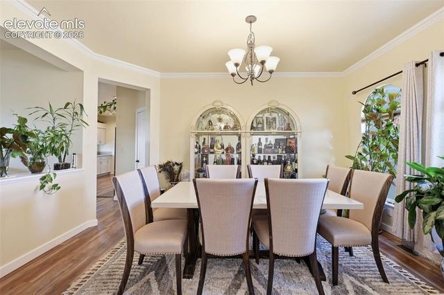 1023 Whistler Hollow Drive, Colorado Springs, CO 80906