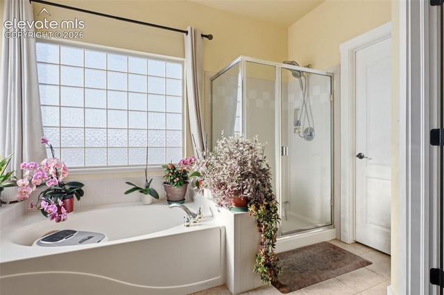 1023 Whistler Hollow Drive, Colorado Springs, CO 80906