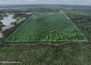 68 Acres Blue Wood Drive, Vancleave, MS 39565
