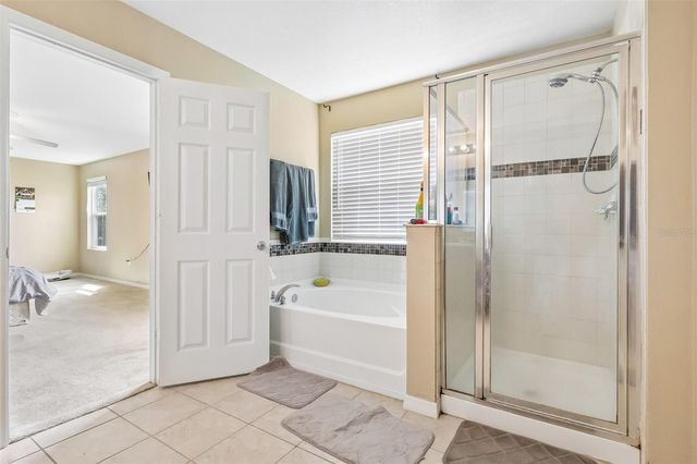 1585 AUBURN HILLS COURT, Tavares, FL 32778