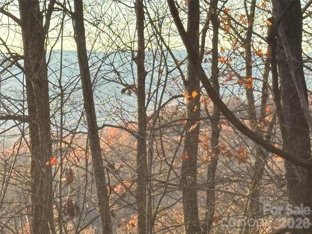 215 Crossvine Trail 11, Hendersonville, NC 28739