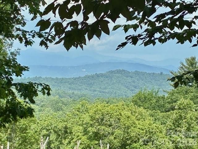 215 Crossvine Trail 11, Hendersonville, NC 28739