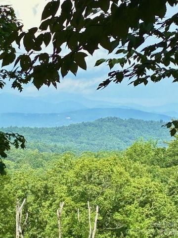 215 Crossvine Trail 11, Hendersonville, NC 28739