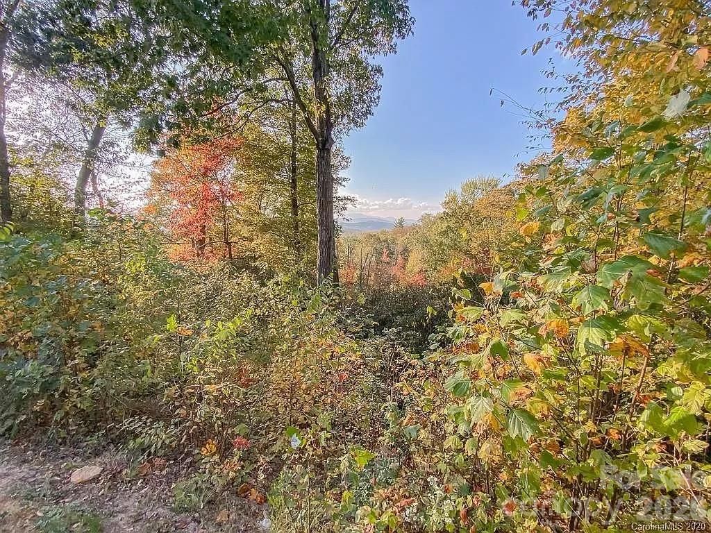 215 Crossvine Trail 11, Hendersonville, NC 28739
