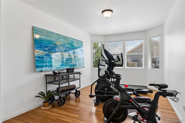 784 Ellsworth Court, Castle Rock, CO 80104