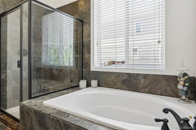 784 Ellsworth Court, Castle Rock, CO 80104