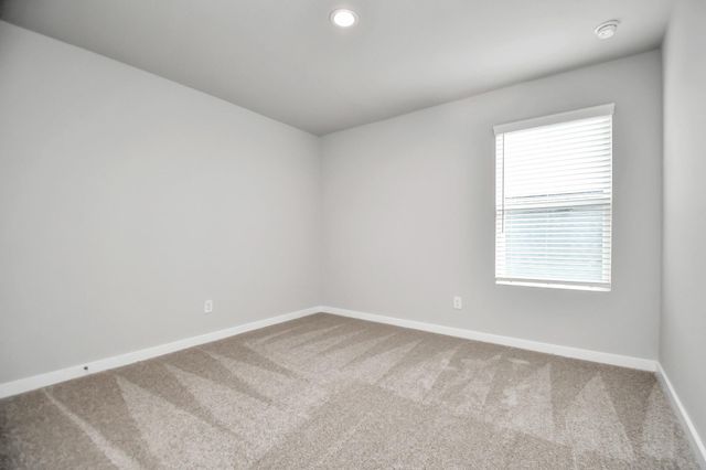 18518 Athena Flower Drive, Fresno, TX 77545