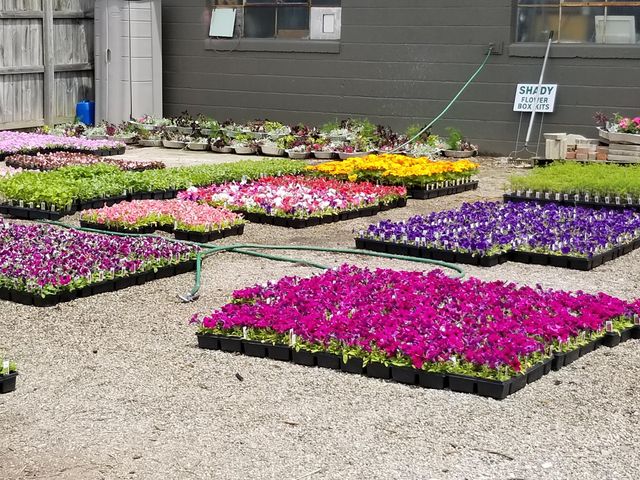 2644 Whitewood Street, Ann Arbor, MI 48104