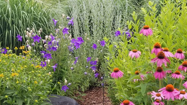 2644 Whitewood Street, Ann Arbor, MI 48104