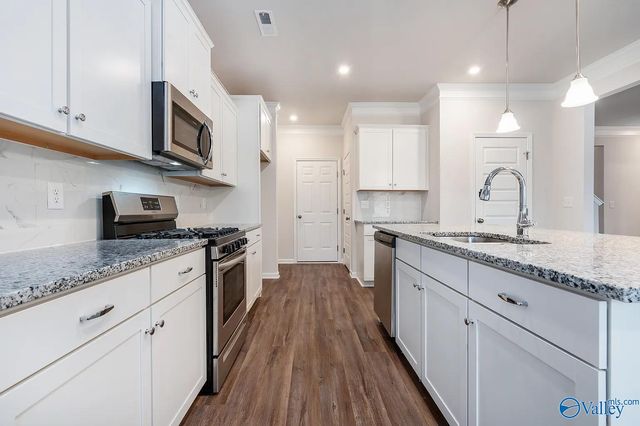 16879 Hollings Trail, Harvest, AL 35749