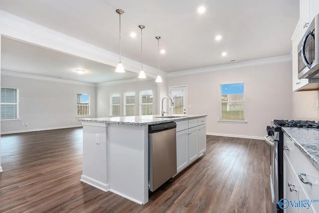 16879 Hollings Trail, Harvest, AL 35749
