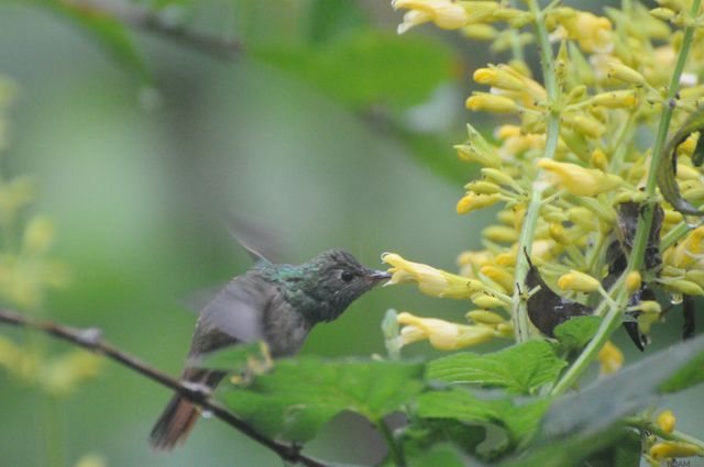 435 Pecan Dr, St Gabriel, LA 70776