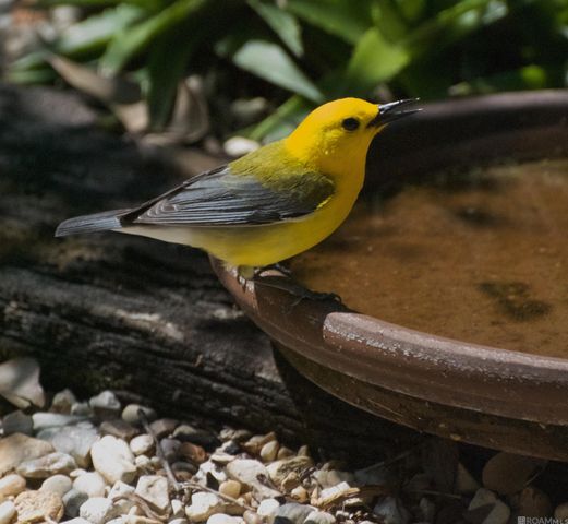 435 Pecan Dr, St Gabriel, LA 70776