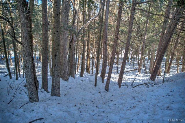 4318 K Road, Bark River, MI 49807