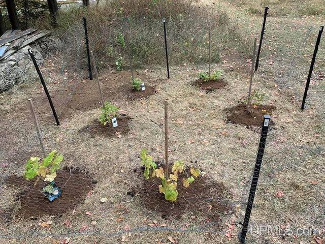 4318 K Road, Bark River, MI 49807